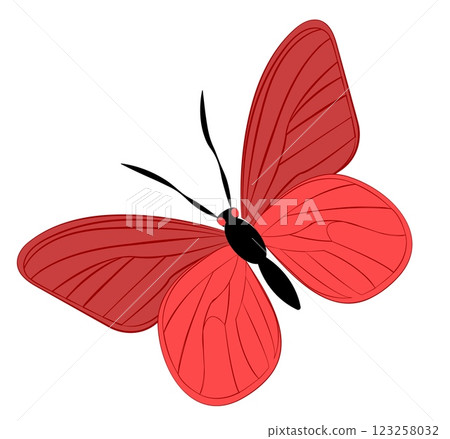Illustration of a vibrant red butterfly with detailed wings and elegant antennae in a minimalist design 123258032