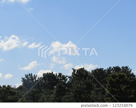 二月的稻毛海濱公園的藍天白雲 123258076