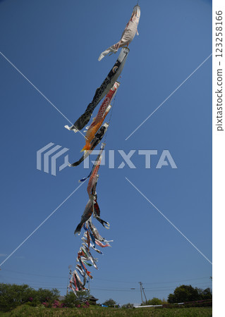 Carp streamers swimming in the blue sky, vertical composition Carp streamers swimming in the blue sky, vertical composition 123258166