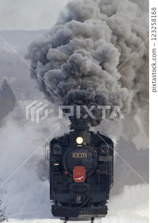 SL Winter Wetlands Train, Senmo Main Line, SL Train, Steam Locomotive, C11 171 123258168