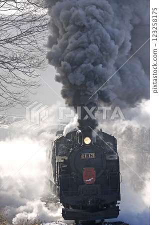 SL 冬季濕地列車,森莫本線,SL 列車,蒸汽機車,C11 171 SL 冬季濕地列車,森莫本線,SL 列車,蒸汽機車,C11 171 123258175