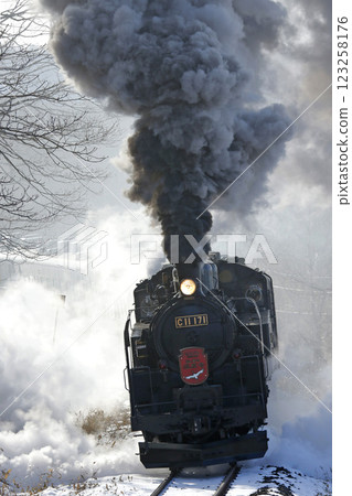 SL 冬季濕地列車,森莫本線,SL 列車,蒸汽機車,C11 171 SL 冬季濕地列車,森莫本線,SL 列車,蒸汽機車,C11 171 123258176