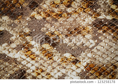 Brown and beige snake skin texture, natural scale pattern, detailed organic surface. Ideal for fashion, exotic materials, wildlife-inspired designs. Luxury and reptile skin concept 123258178