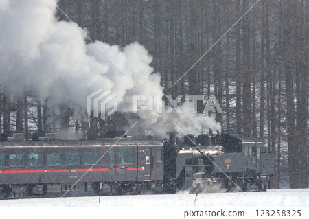 25th Anniversary of the Steam Locomotive Winter Wetlands, Senmo Main Line, Steam Locomotive Train, C11 171 25th Anniversary of the Steam Locomotive Winter Wetlands, Senmo Main Line, Steam Locomotive Train, C11 171 123258325