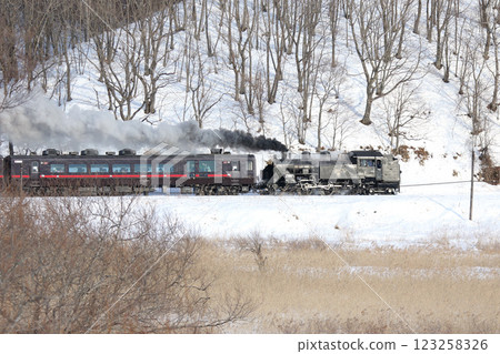 25th Anniversary of the Steam Locomotive Winter Wetlands, Senmo Main Line, Steam Locomotive Train, C11 171 25th Anniversary of the Steam Locomotive Winter Wetlands, Senmo Main Line, Steam Locomotive Train, C11 171 123258326