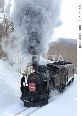 25th Anniversary of the Steam Locomotive Winter Wetlands, Senmo Main Line, Steam Locomotive Train, C11 171 123258330