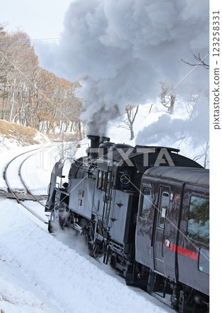 25th Anniversary of the Steam Locomotive Winter Wetlands, Senmo Main Line, Steam Locomotive Train, C11 171 123258331