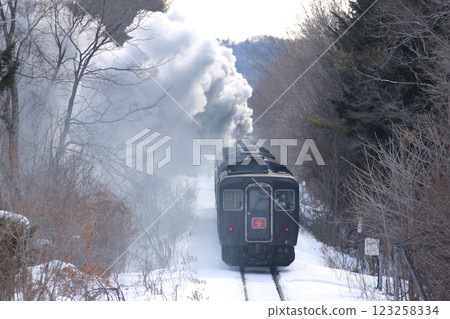 25th Anniversary of the Steam Locomotive Winter Wetlands, Senmo Main Line, Steam Locomotive Train, C11 171 25th Anniversary of the Steam Locomotive Winter Wetlands, Senmo Main Line, Steam Locomotive Train, C11 171 123258334