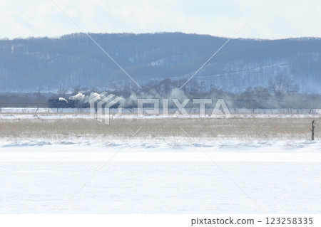 25th Anniversary of the Steam Locomotive Winter Wetlands, Senmo Main Line, Steam Locomotive Train, C11 171 25th Anniversary of the Steam Locomotive Winter Wetlands, Senmo Main Line, Steam Locomotive Train, C11 171 123258335