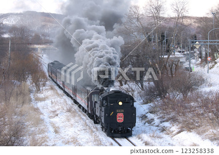 蒸汽機車冬季濕地 25 週年紀念，森茂幹線，蒸汽機車列車，C11 171 123258338