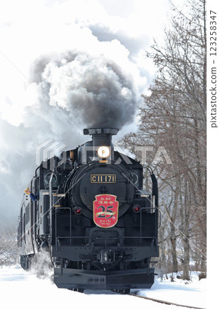 25th Anniversary of the Steam Locomotive Winter Wetlands, Senmo Main Line, Steam Locomotive Train, C11 171 123258347
