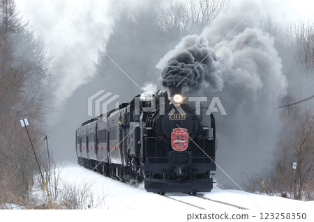 25th Anniversary of the Steam Locomotive Winter Wetlands, Senmo Main Line, Steam Locomotive Train, C11 171 123258350