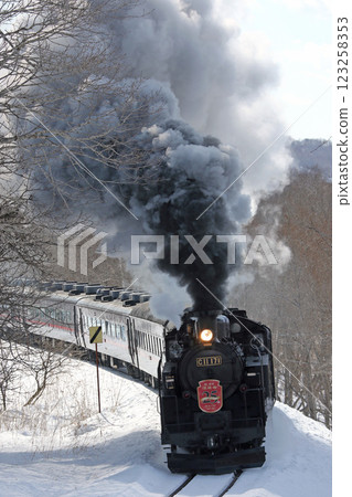 蒸汽機車冬季濕地 25 週年紀念，森茂幹線，蒸汽機車列車，C11 171 123258353