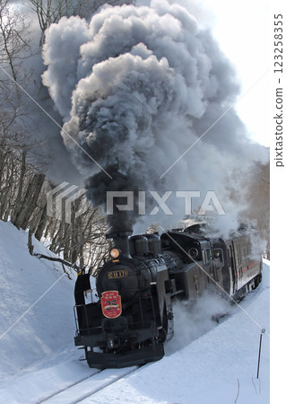 25th Anniversary of the Steam Locomotive Winter Wetlands, Senmo Main Line, Steam Locomotive Train, C11 171 123258355