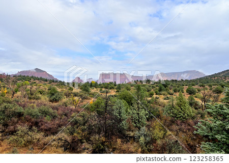 Airport Mesa with Bell Rock in the center and Castle Rock and Courthouse Butte 123258365