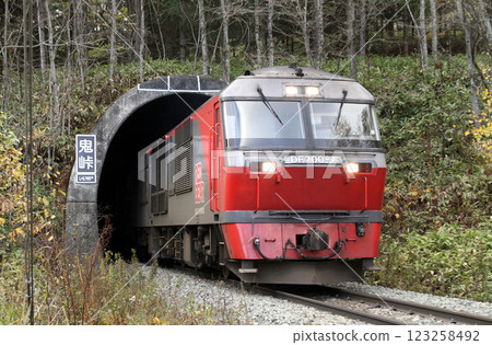 Sekisho Line freight train passing through the Onitoge Tunnel JR Freight DF200 diesel electric locomotive 123258492