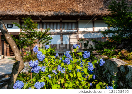世界遺產白川村 初夏的花與合掌造房屋 六月 世界遺產白川村 初夏的花與合掌造房屋 六月 123258495