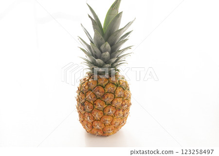 Fresh pineapple Fresh pineapple 123258497