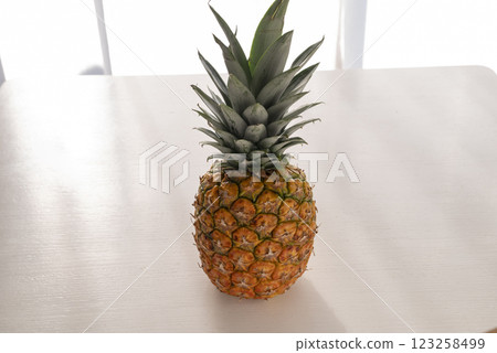 新鮮的菠蘿 123258499