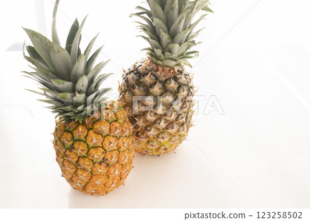 新鮮的菠蘿 123258502