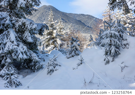 Bansko, Bulgaria, Pirin mountain snow peaks Bansko, Bulgaria, Pirin mountain snow peaks 123258764