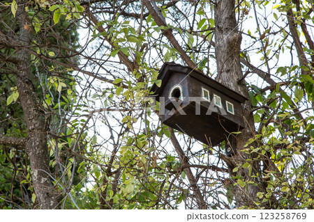 Birdhouse Birdhouse 123258769