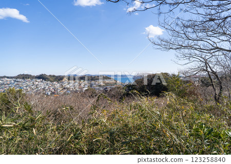 View from the Sagami Bay Observatory (Kamakura Hiromachi Green Space) 123258840
