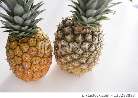 新鮮的菠蘿 新鮮的菠蘿 123258888