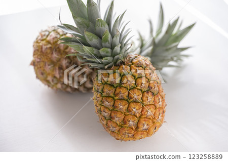 新鮮的菠蘿 新鮮的菠蘿 123258889