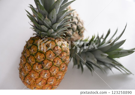 新鮮的菠蘿 新鮮的菠蘿 123258890