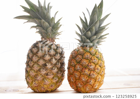 新鮮的菠蘿 新鮮的菠蘿 123258925