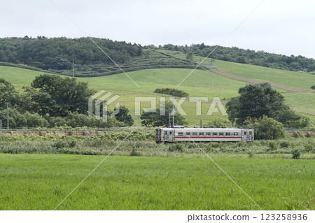 Soya Main Line local train running through the greenery Soya Main Line Soya Line Kiha 54 123258936