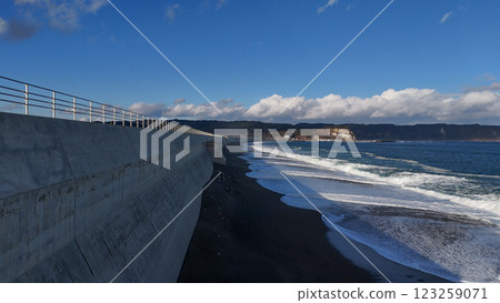 Noda Village, Tofugaura Seawall (aerial view) - Noda Village, Kunohe District, Iwate Prefecture, Japan Noda Village, Tofugaura Seawall (aerial view) - Noda Village, Kunohe District, Iwate Prefecture, Japan 123259071