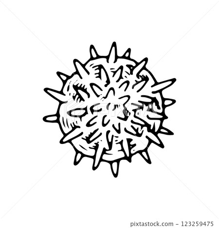 Vector illustration of the Herpes virus in black and white. Hand drawn isolated object of viral cell, for medical, microbiology, and healthcare designs related to infection and disease prevention Vector illustration of the Herpes virus in black and white. Hand drawn isolated object of viral cell, for medical, microbiology, and healthcare designs related to infection and disease prevention 123259475