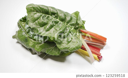 瑞士甜菜 123259518