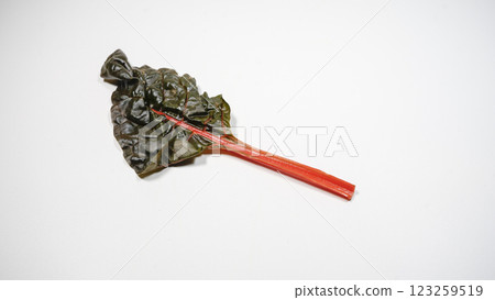 瑞士甜菜 123259519