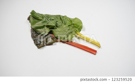 瑞士甜菜 123259520