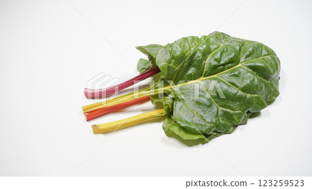 瑞士甜菜 123259523