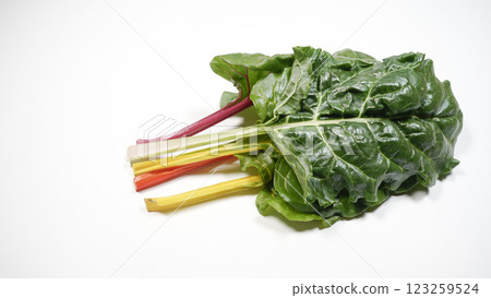 瑞士甜菜 123259524