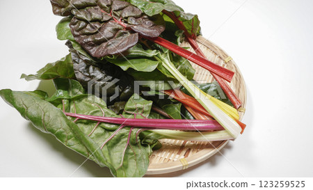 Swiss Chard 123259525