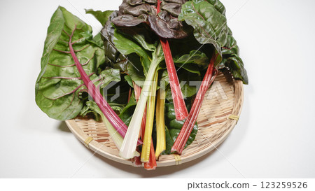 Swiss Chard Swiss Chard 123259526