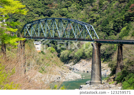 Scenery with a steel bridge 123259571