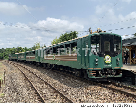 Marshland Norokko Train 35th Anniversary Mark Senmo Main Line Tourist Train Marshland Norokko Train 35th Anniversary Mark Senmo Main Line Tourist Train 123259585