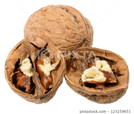 Halves and whole walnut on isolated background Halves and whole walnut on isolated background 123259651