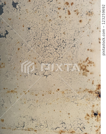 Stone Vintage Painted Wall Texture Structure As Background 123259692