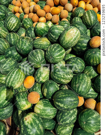 lots of ripe watermelons and yellow melons for food as background 123259695