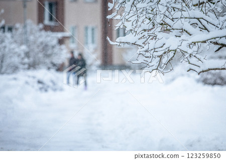 Winter day view, snow covered tree branch close-up, house and people in the background out of focus Winter day view, snow covered tree branch close-up, house and people in the background out of focus 123259850