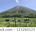 大山和牛 123260125