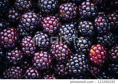 Close-up of fresh blackberries with shiny purple-black skin Close-up of fresh blackberries with shiny purple-black skin 123260285