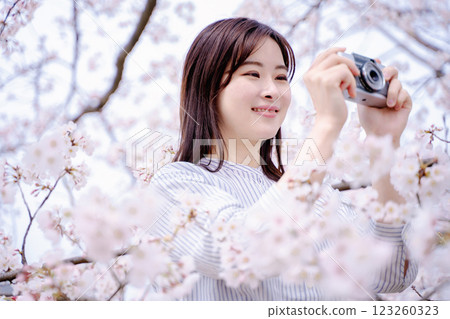 年輕女子用相機拍攝櫻花 123260323